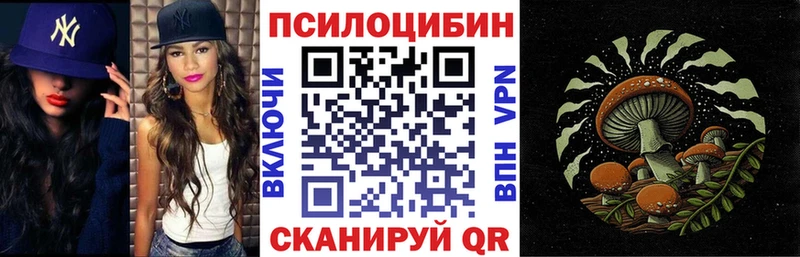 магазин    Чайковский  Псилоцибиновые грибы мухоморы 